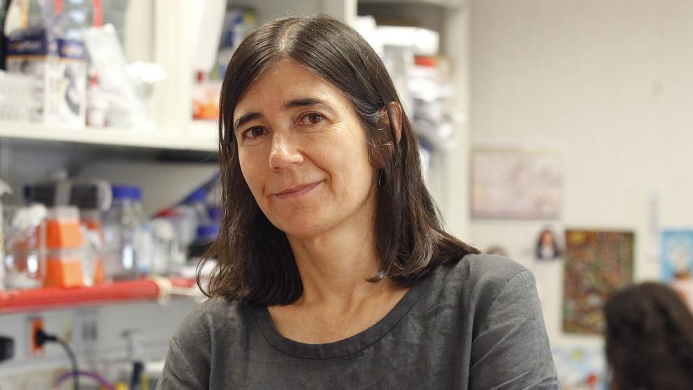 maria-blasco-directora-del-centro-nacional-de-investigaciones-oncologicas-comunidad-valenciana