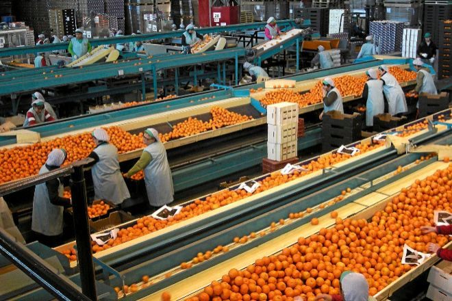 la-naranja-y-el-azulejo-exportaciones